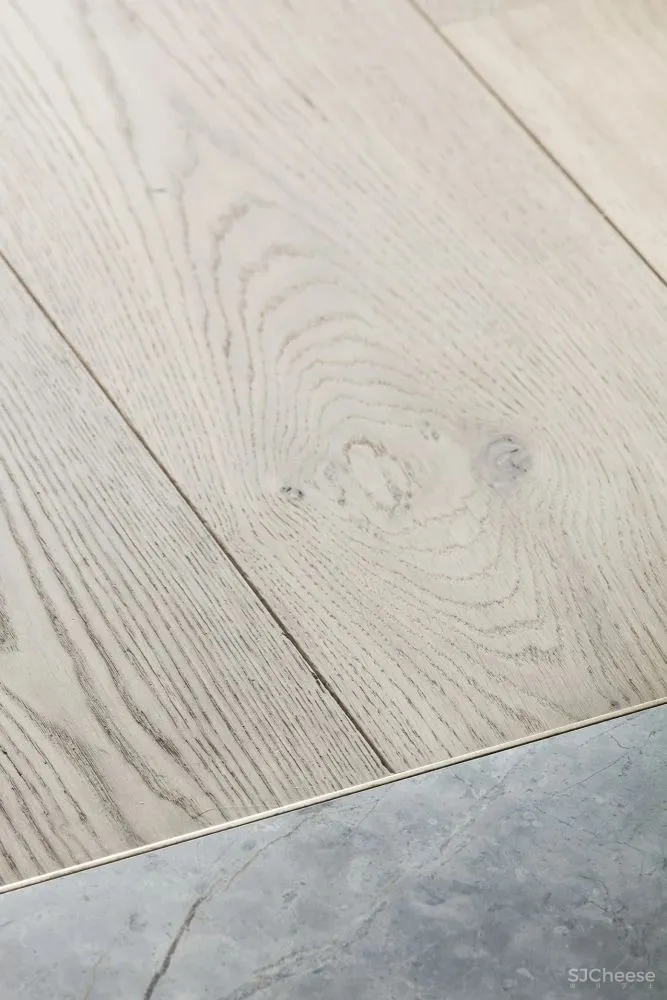 Mieke Van Herck 独特的设计品格