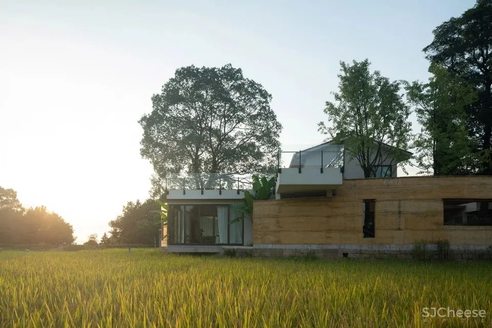 稻田里的农舍 自带烟火温度的家