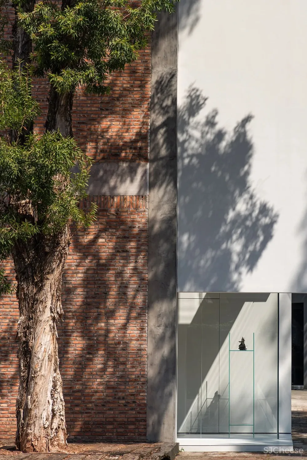 DOMANI 东 仓 白 · ZS Lab