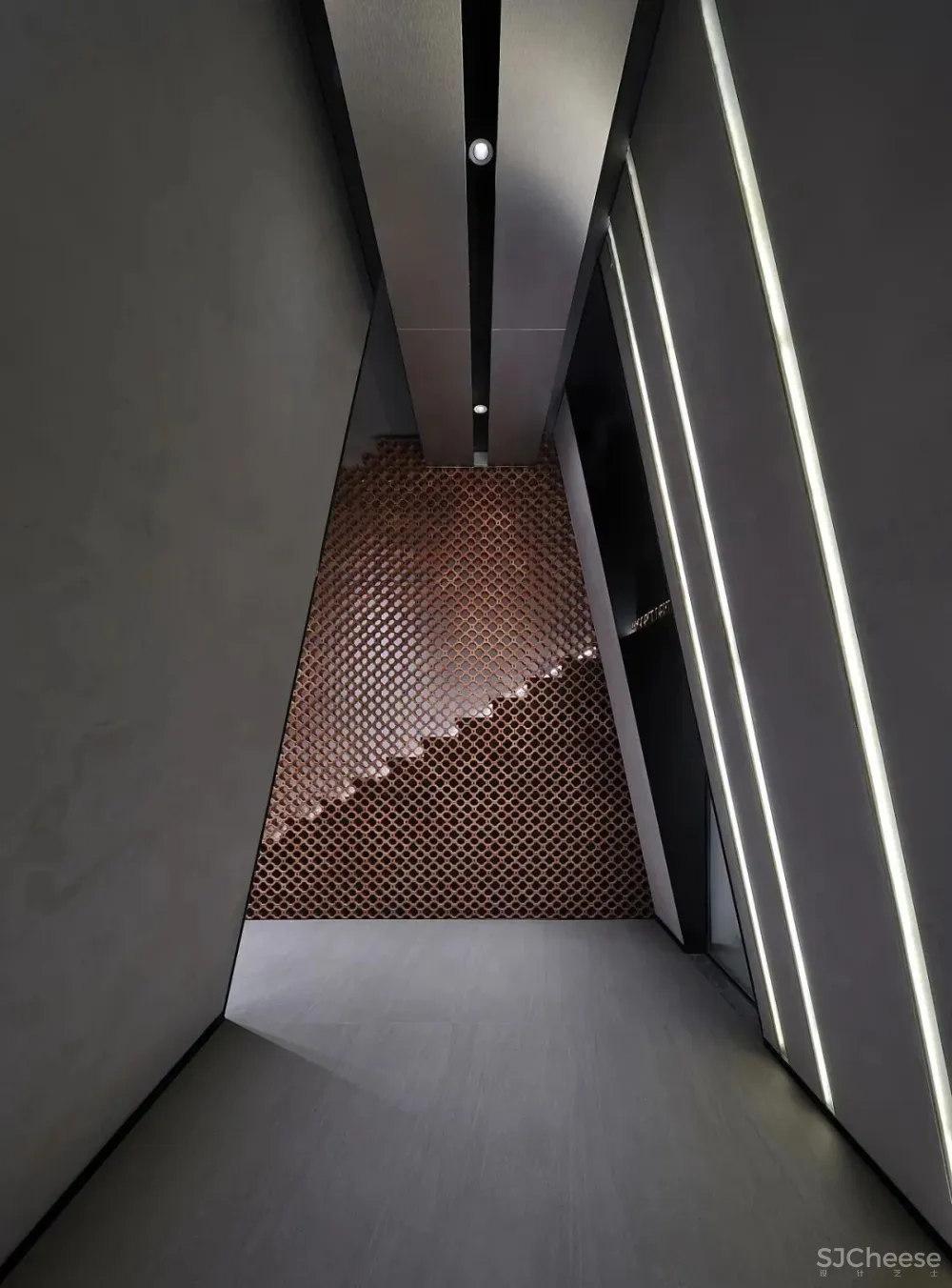 思维盒子,自然生长 施旭东