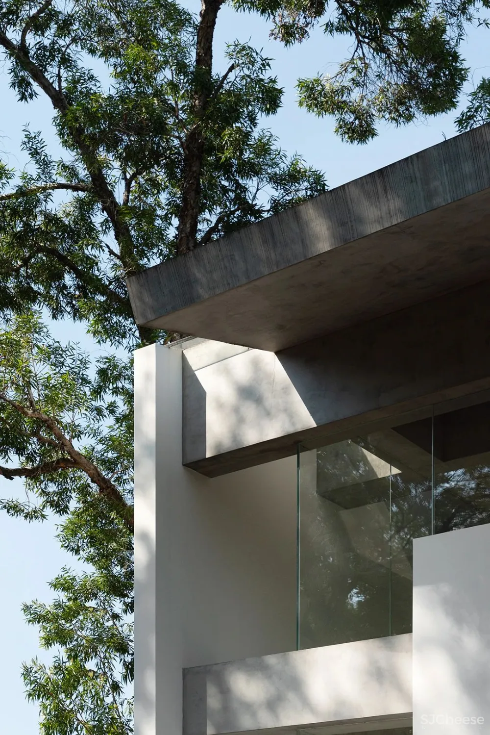 DOMANI 东 仓 白 · ZS Lab