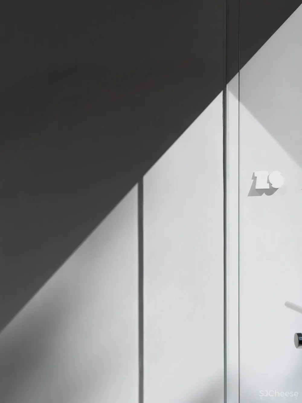 DOMANI 东 仓 白 · ZS Lab