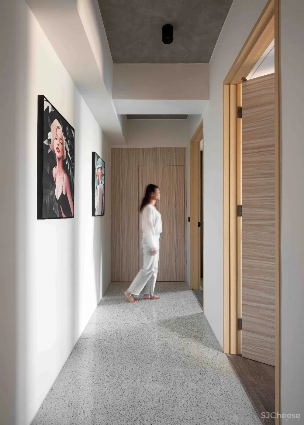 王中丞先生新作 浮光掠影