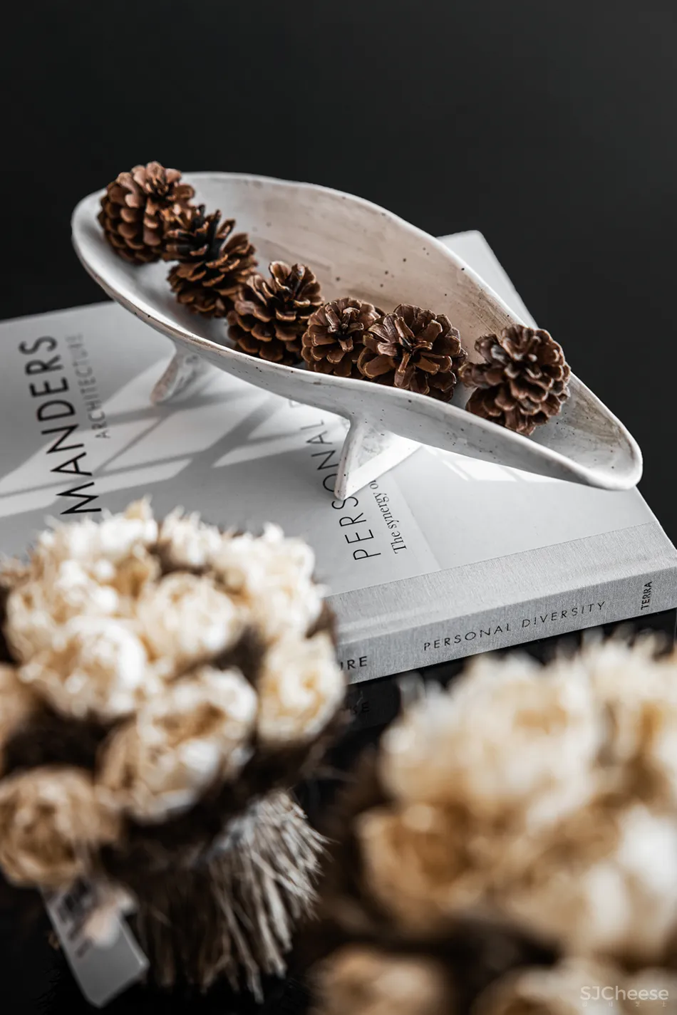 唐忠汉:城市飞行!