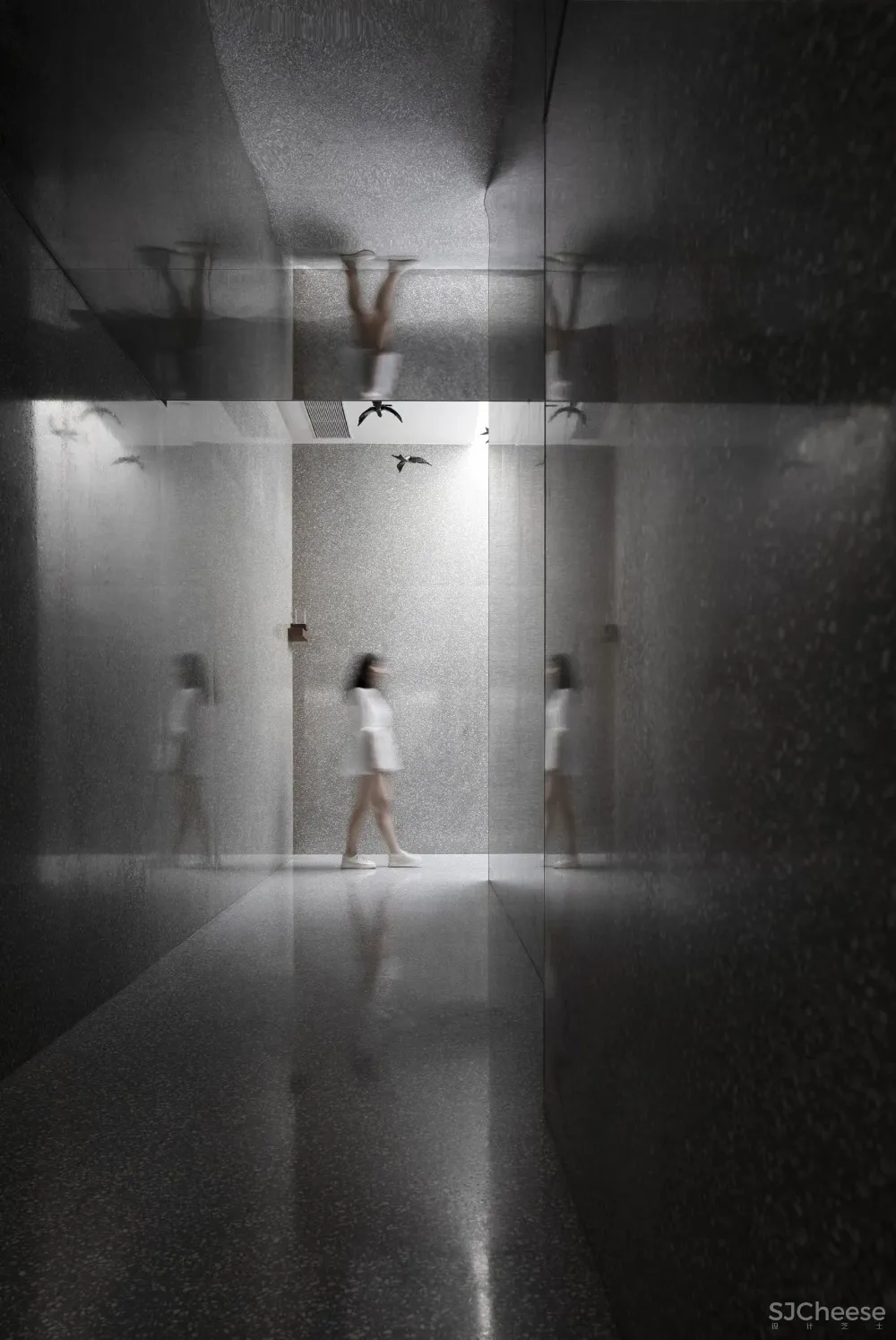 今古凤凰新作丨时间记忆,可容万物之所