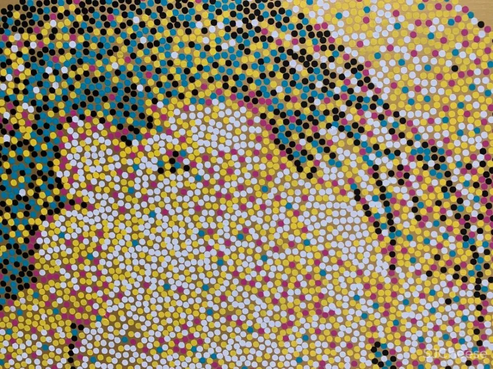 艺术家杨冕 艺术应该低于生活