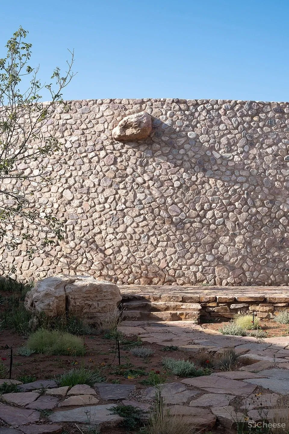 Winner 相上文象 × 西鸽酒庄：获 Best of Year Awards 2020年度最佳大奖