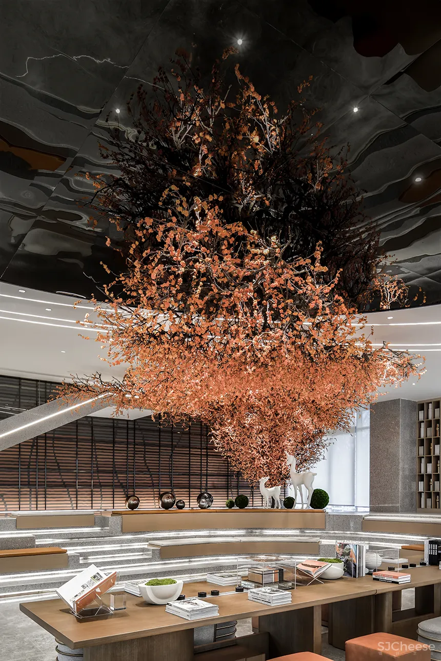 上坤 YSD:仰望星空,光影浮梦!