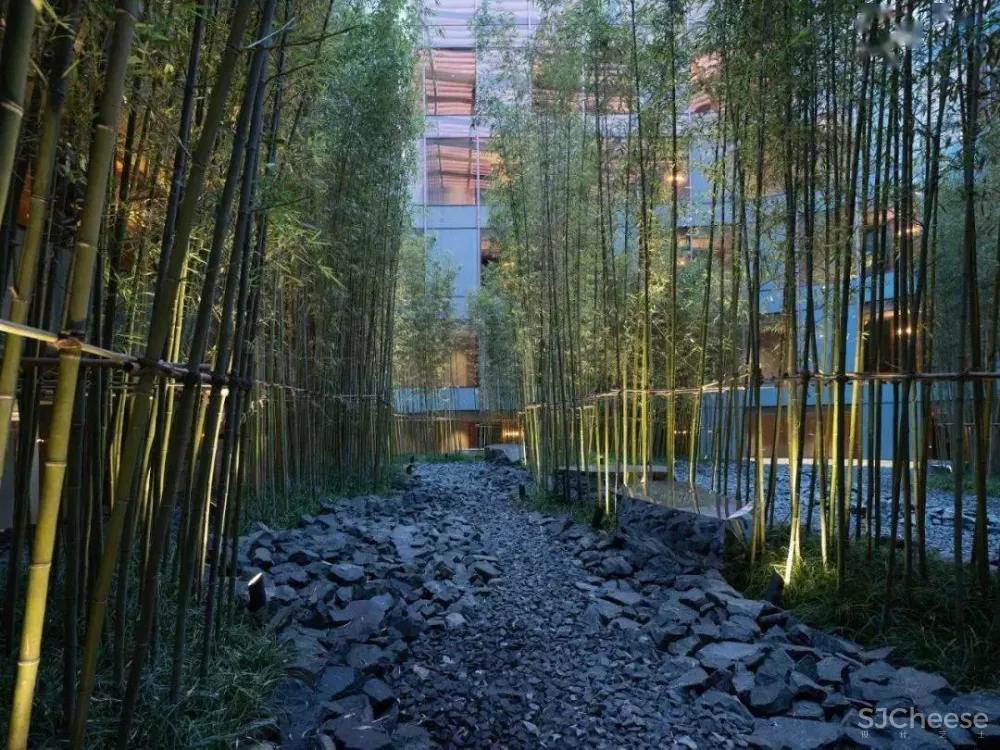 北京大兴国际机场木棉花酒店-“新国门”的旅人书房