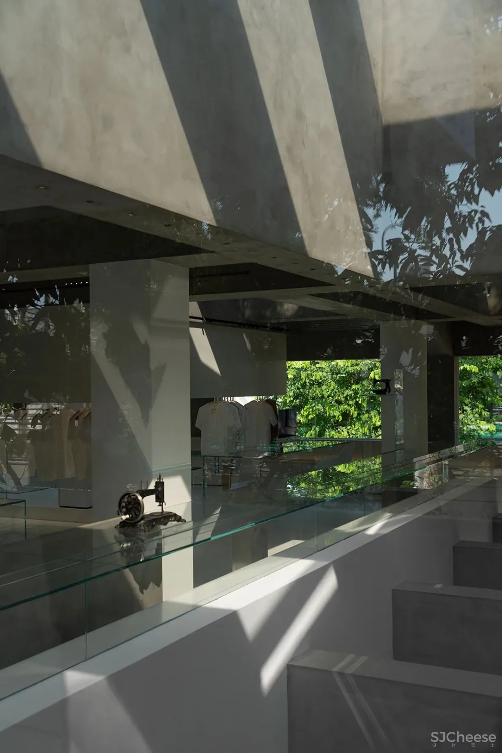 DOMANI 东 仓 白 · ZS Lab