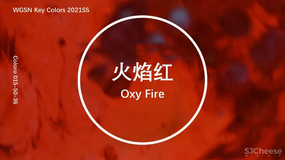 COLORO x WGSN丨2021春夏色来了，这5色美翻你的朋友圈！