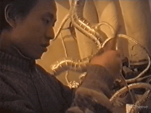 看不懂就对了!2020年末的上海,无数人为它疯狂排队打卡