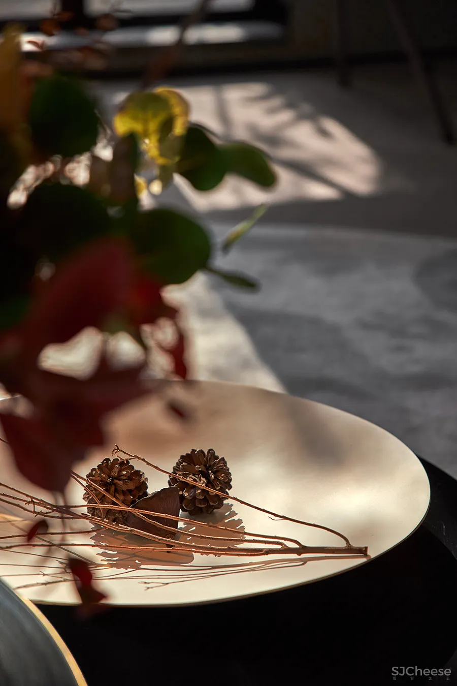 唐忠汉:光影之间!