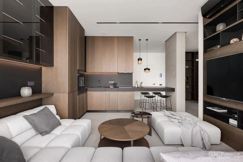 现代极简风一居室 Diana Lobodiuk