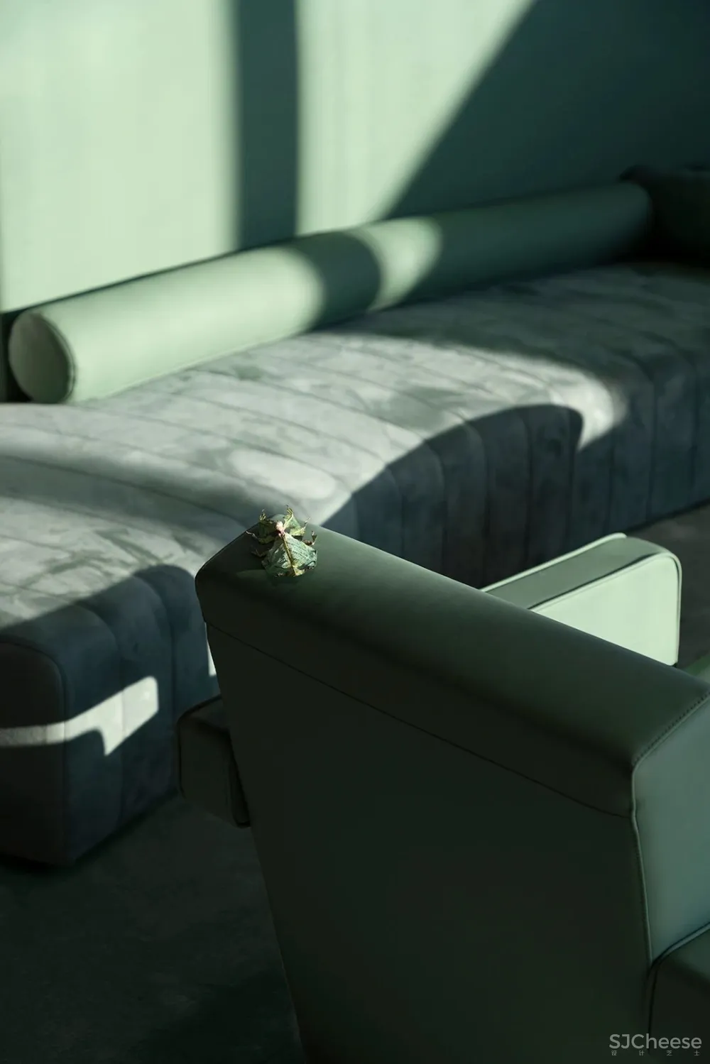 PONE普利策 万物几何,解构野性的诗意