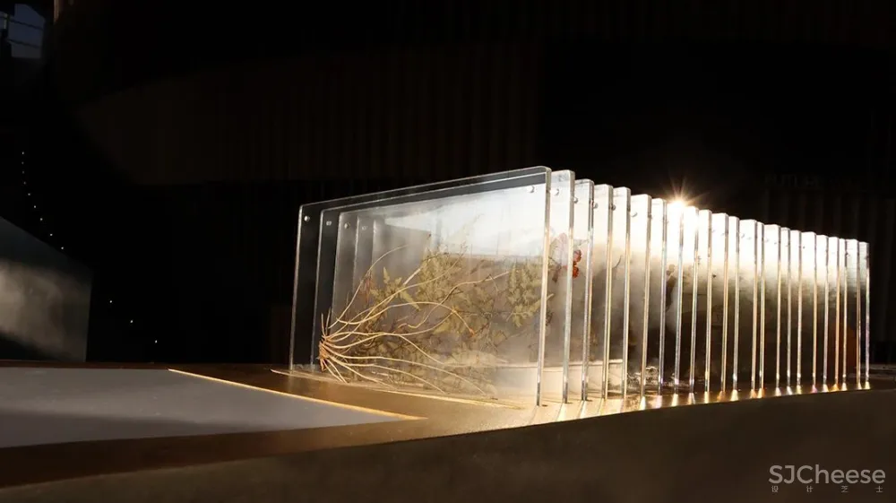 PONE普利策 万物几何,解构野性的诗意