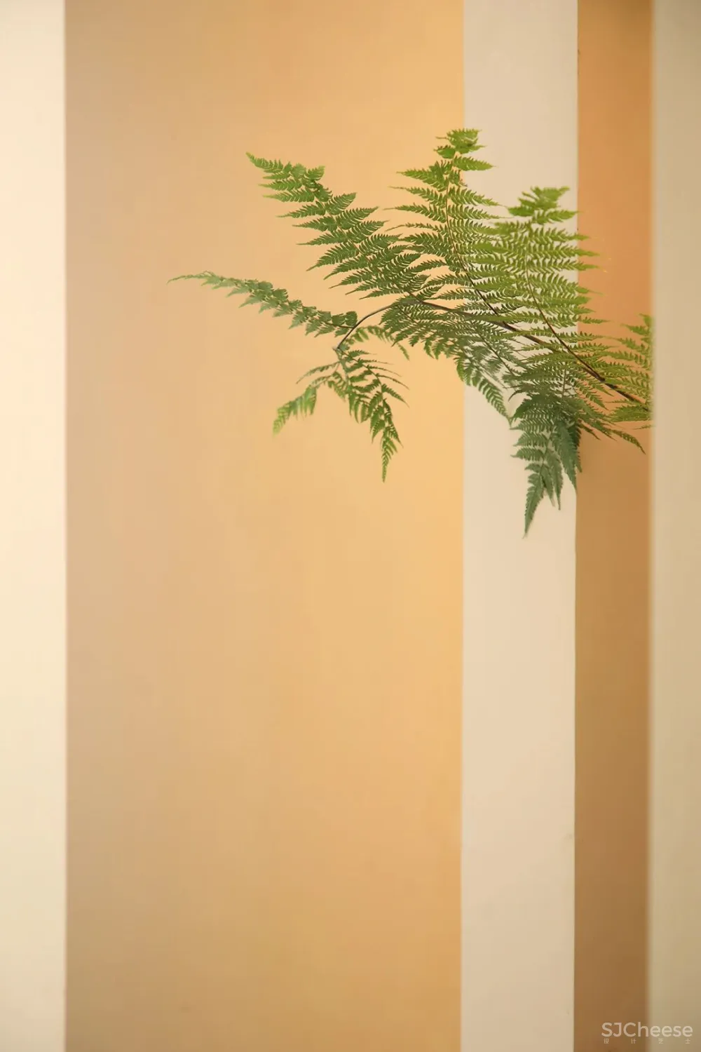 【新作】物上设计 AMBILIGHT WHITE 流白