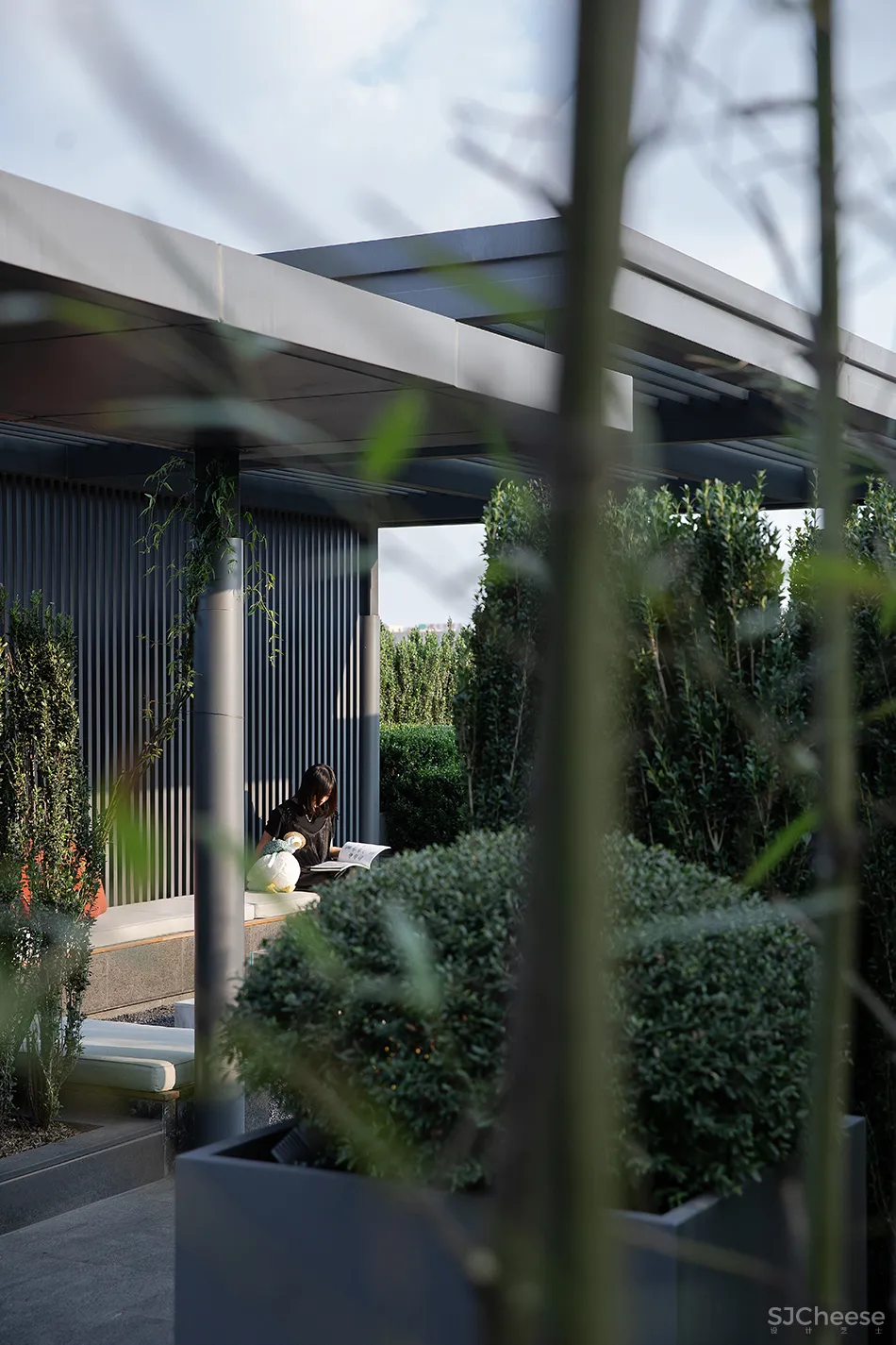 大相设计 云顶之上,东方小雅