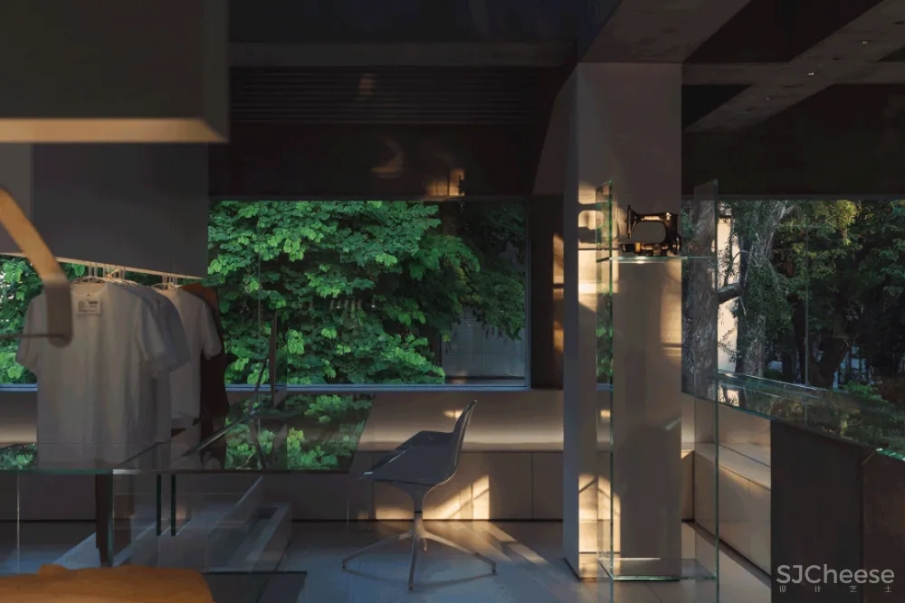 DOMANI 东 仓 白 · ZS Lab