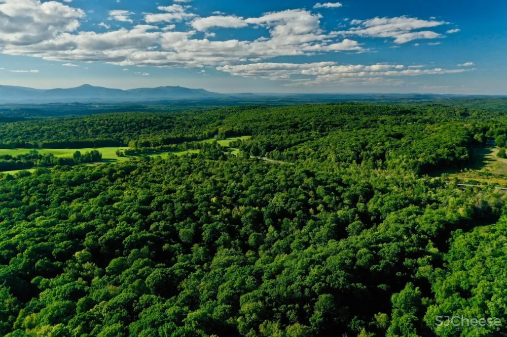 阿斯顿•马丁首个私人住宅项目,从“奢尚”到“野奢”的华丽转身