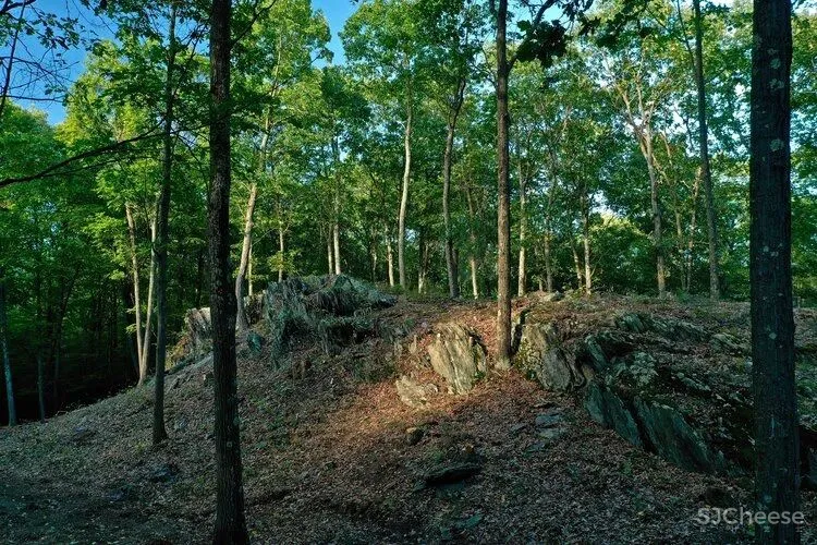 阿斯顿•马丁首个私人住宅项目,从“奢尚”到“野奢”的华丽转身