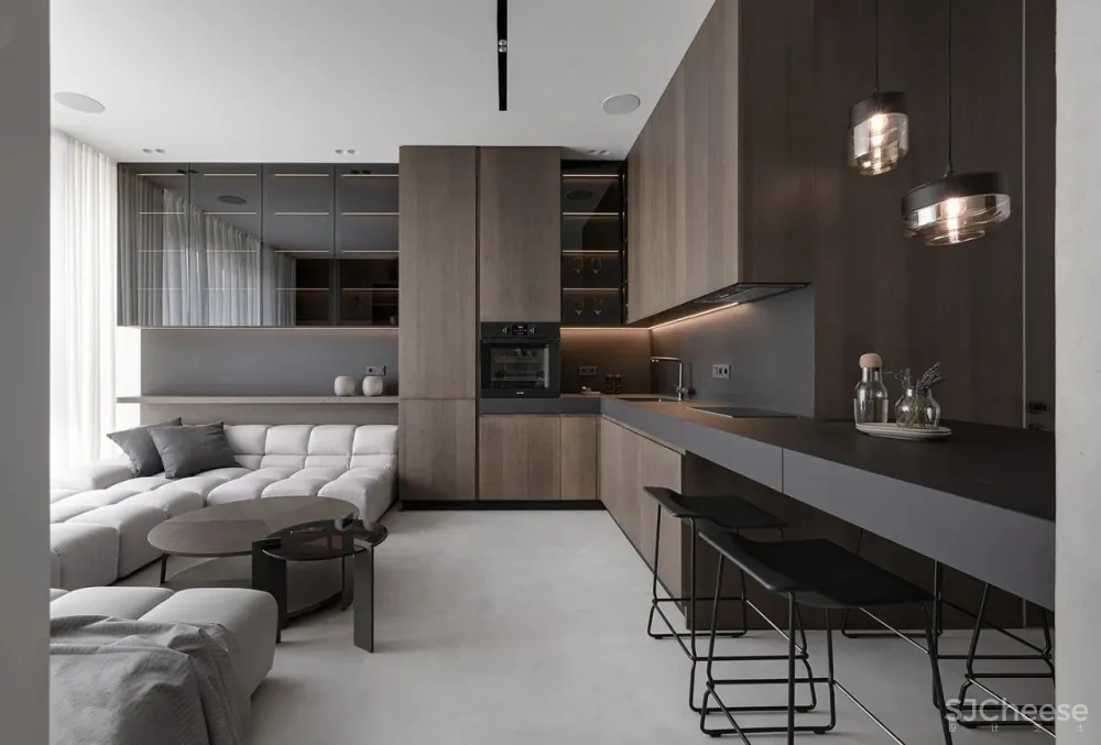 现代极简风一居室 Diana Lobodiuk