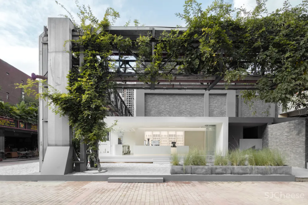 Pick - Comma：成都咖啡宇宙里的一组惊叹号