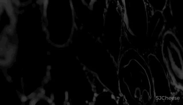 矩阵纵横新作丨一座沒有劇本的石頭城，蘇寧世茂璀璨雲著