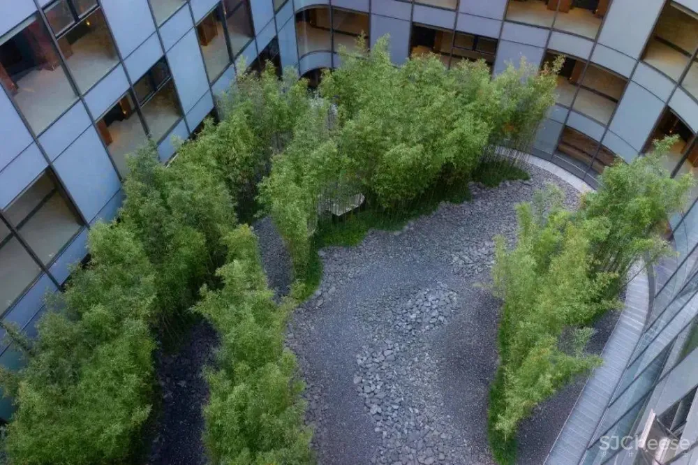 北京大兴国际机场木棉花酒店-“新国门”的旅人书房