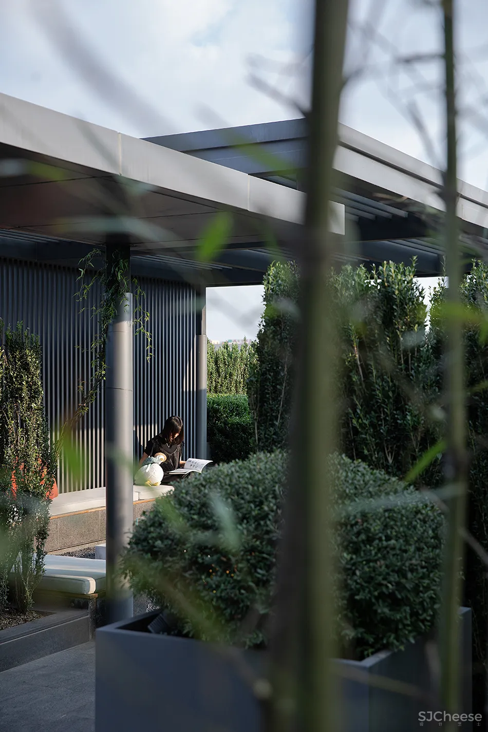 大相设计·新作 云顶之上,东方小雅 Cloud top, Oriental Xiaoya