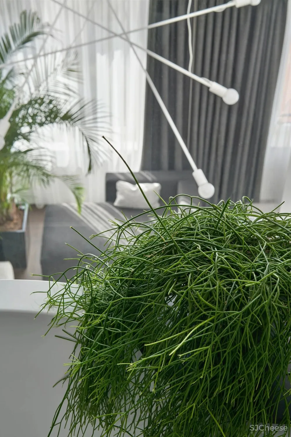 这个130㎡的设计，被撩到了！