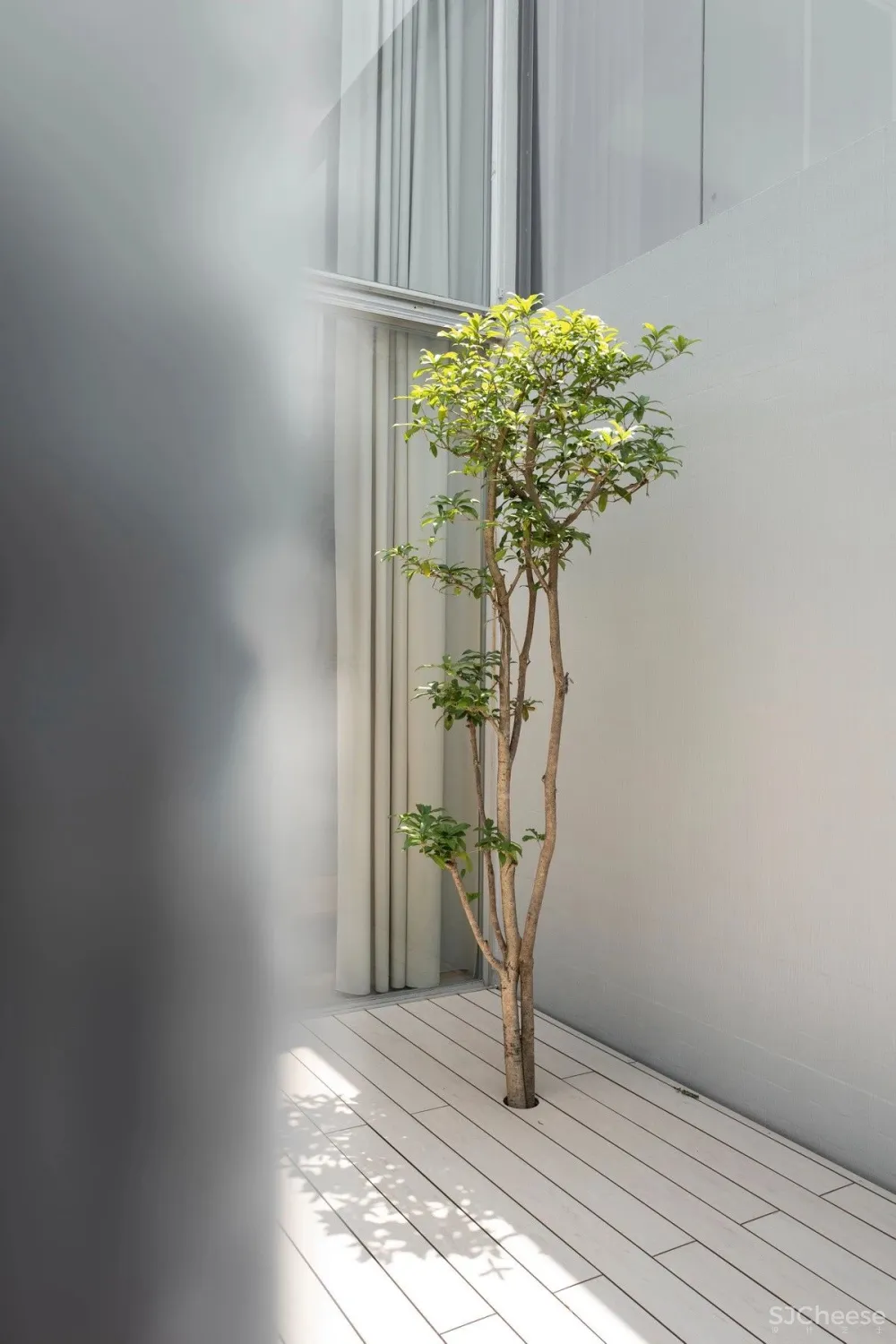 Norm Architects新作|“边境”湖边小屋,北欧式的简约设计美学