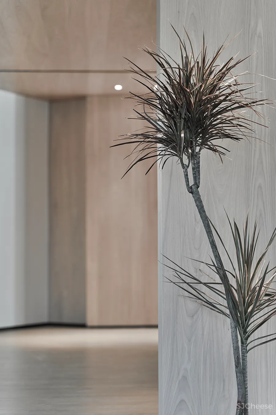 5 2 studio • 易永强|聚拢或裂变意在空间需求