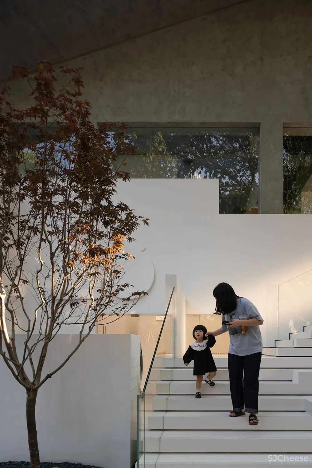 DOMANI 东 仓 白 · ZS Lab