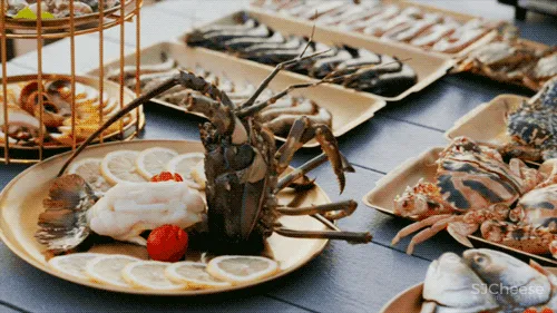 福建小哥租下一片海,造600㎡漂浮大平层:我随时可以与世隔绝