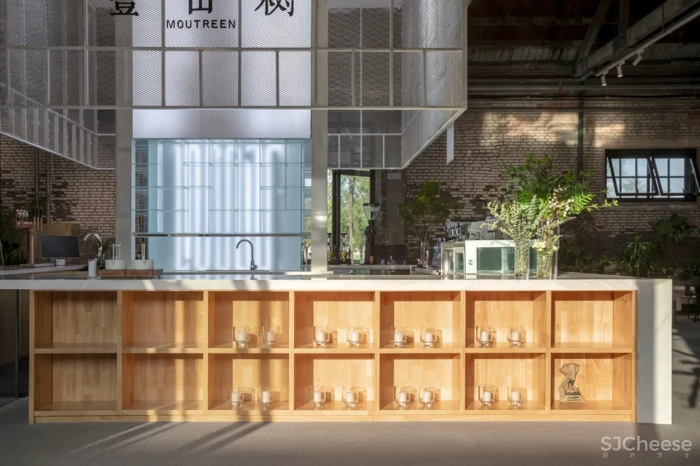 老房新生:秦皇岛壹山树咖啡