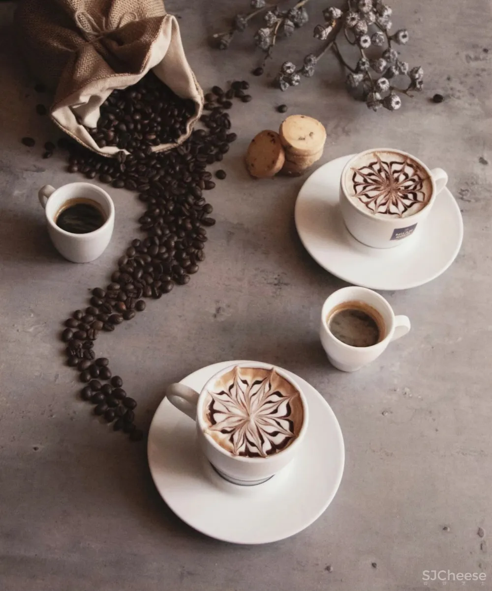 光影下的自然之舞，别具一格的清丽灵动！