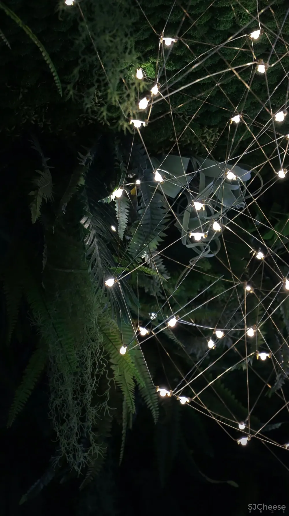 PONE普利策 万物几何,解构野性的诗意