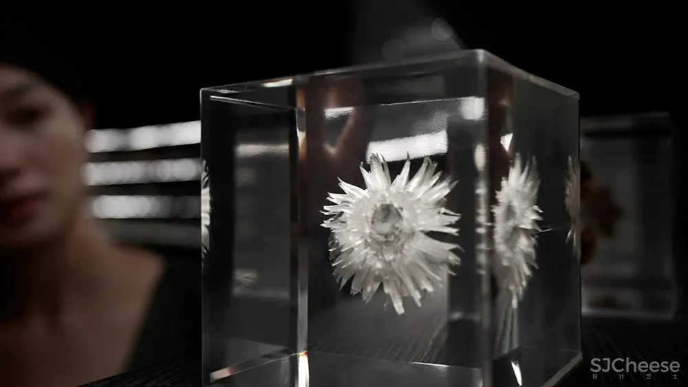 PONE普利策 万物几何,解构野性的诗意