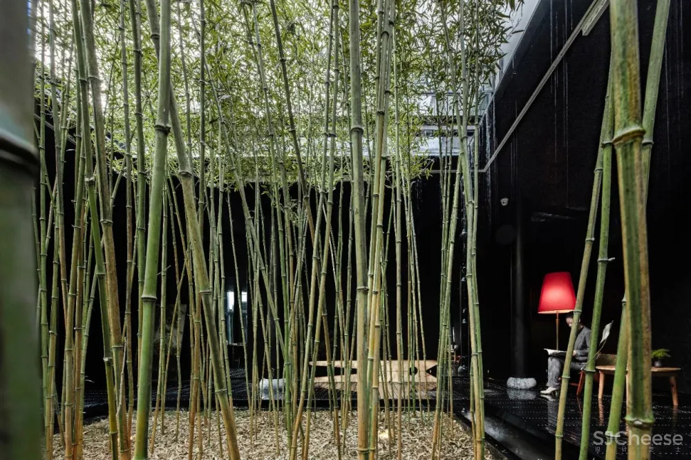 圣火设计 × 黄山愿景酒店 :墨瓦白墙的静谧之美