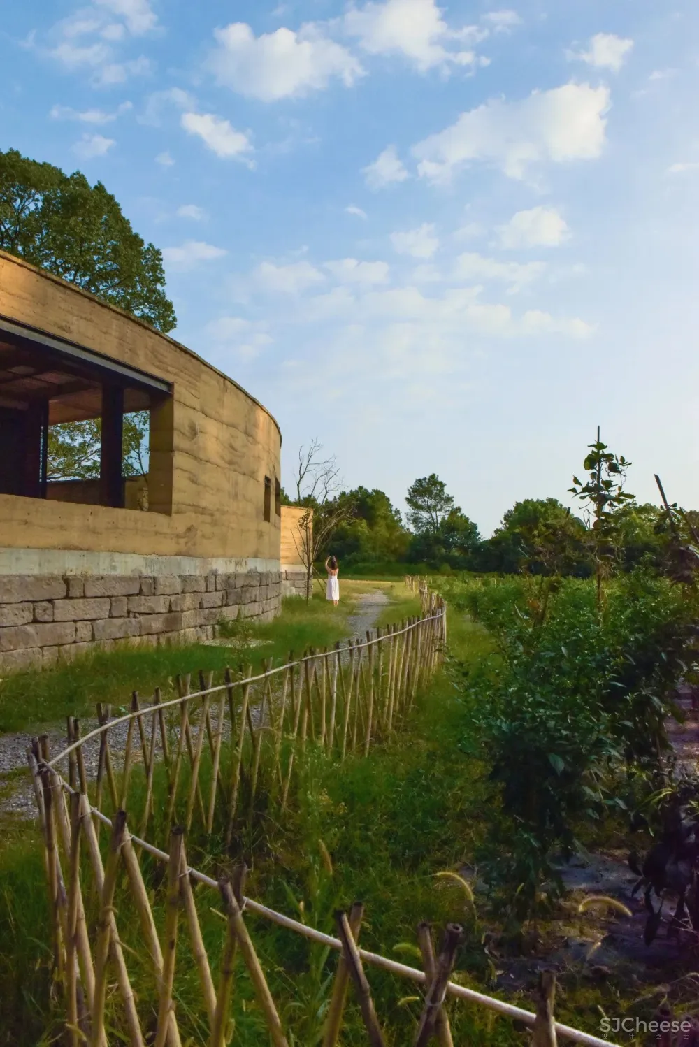 稻田里的农舍 自带烟火温度的家