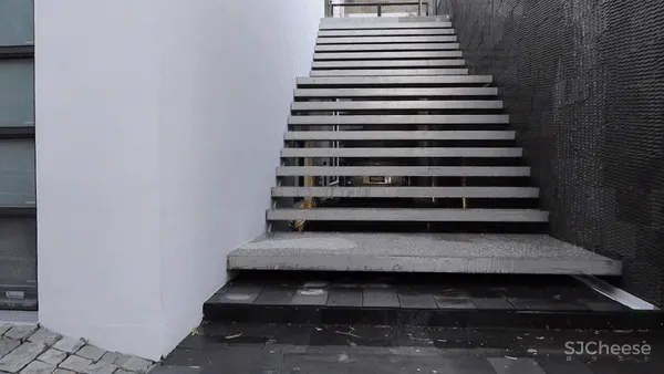 王中丞先生新作 浮光掠影