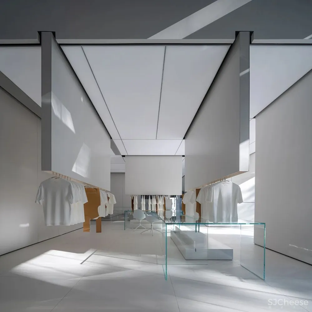 DOMANI 东 仓 白 · ZS Lab