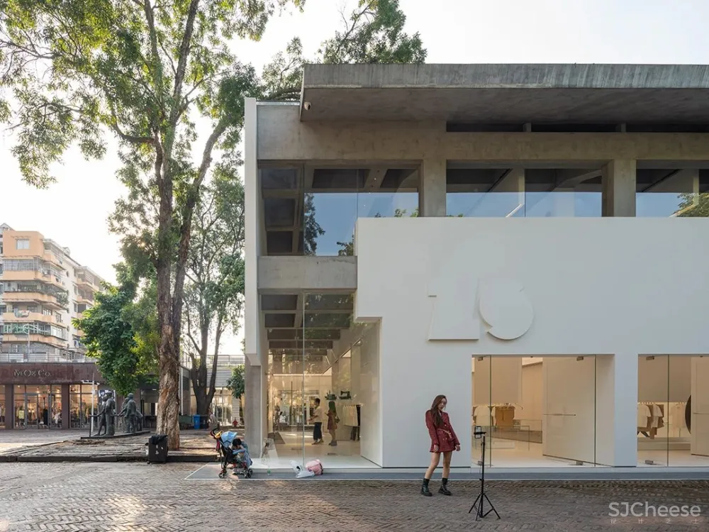 DOMANI 东 仓 白 · ZS Lab