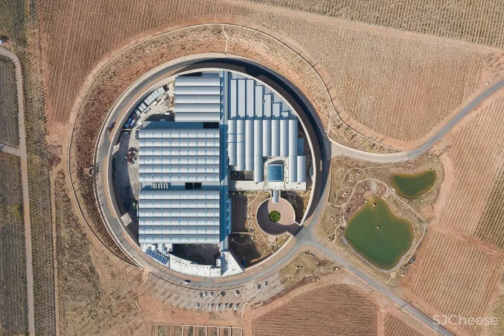 Winner 相上文象 × 西鸽酒庄：获 Best of Year Awards 2020年度最佳大奖