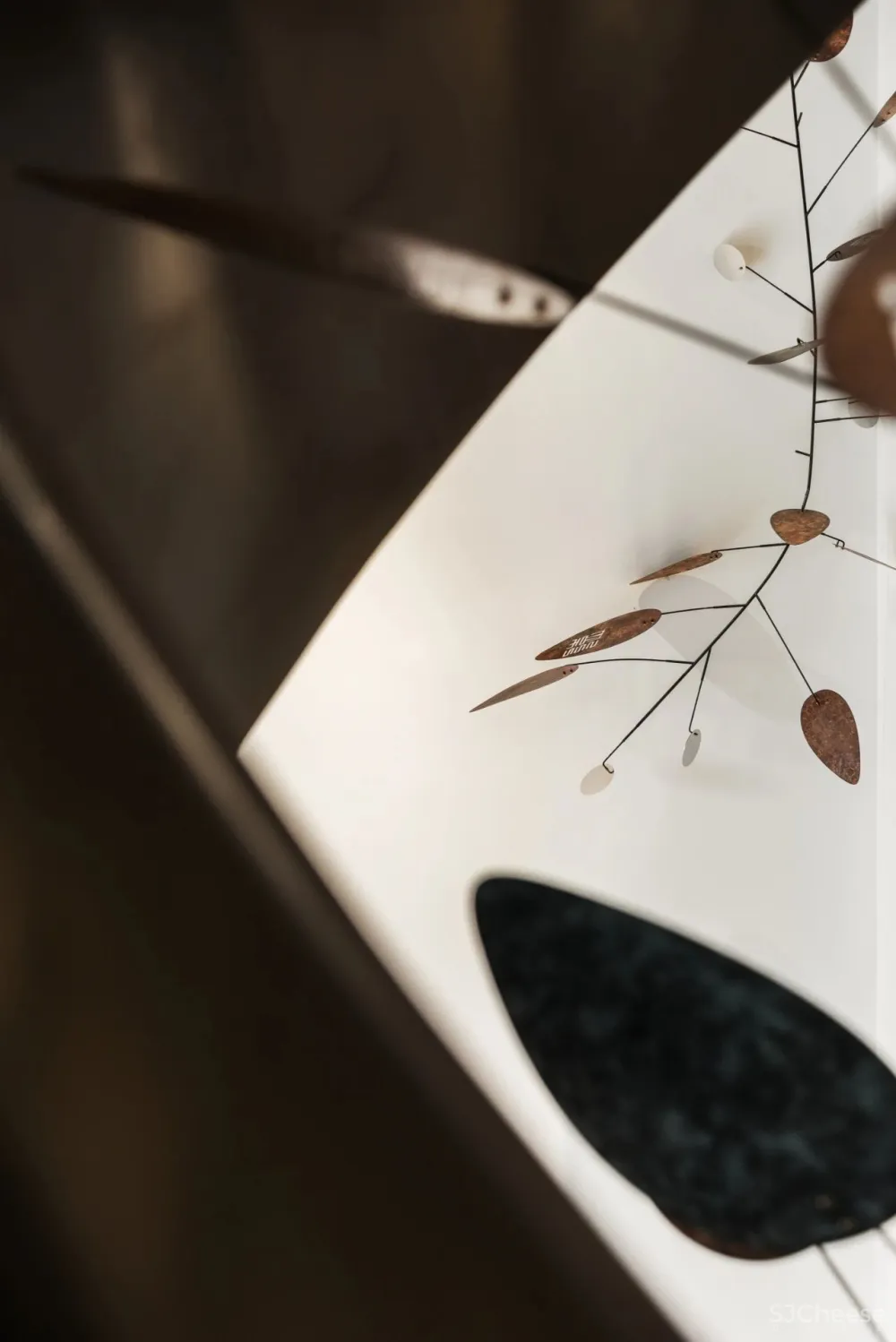 追影漫廊 · 游园惊梦|GBD 杜文彪