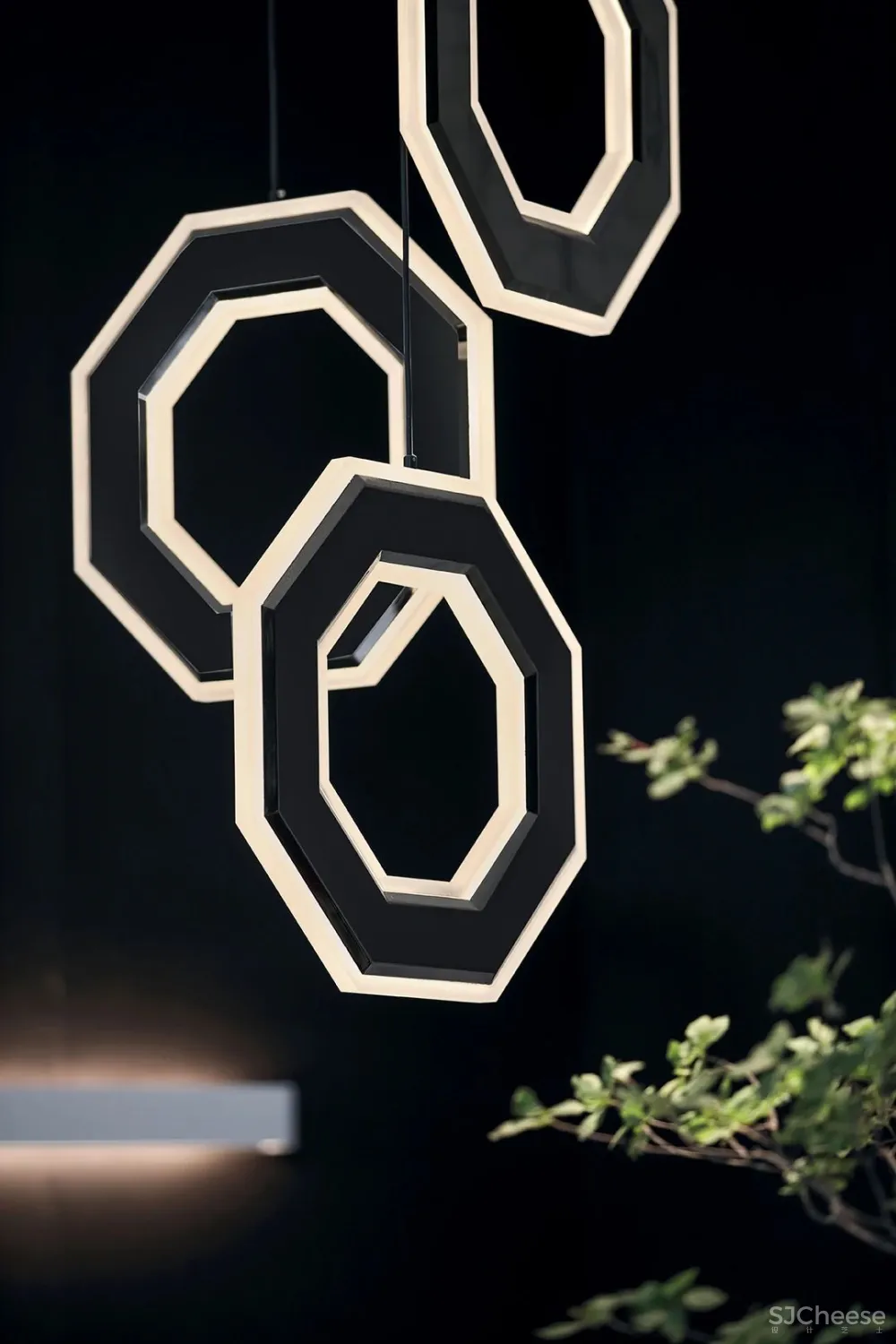 S C D 身居繁华,心归自然