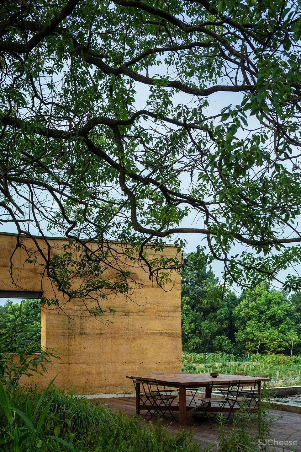 稻田里的农舍 自带烟火温度的家