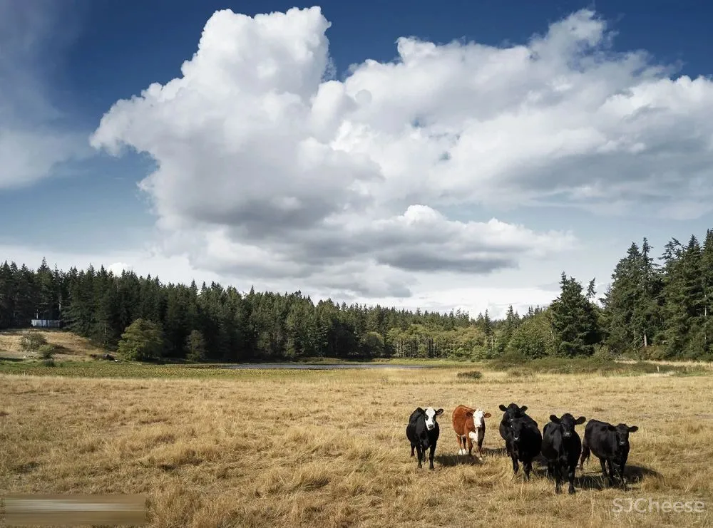 mwworks 新作 -农场度假屋•融合森林和农业遗产质朴却又朴实