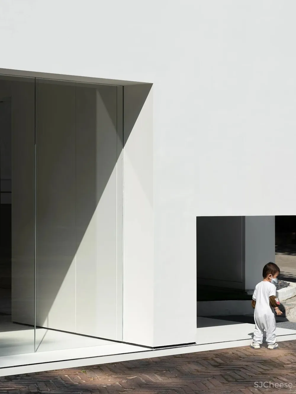 DOMANI 东 仓 白 · ZS Lab